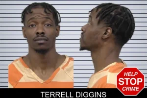 Terrell Diggins mugshot