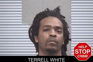 Terrell White mugshot