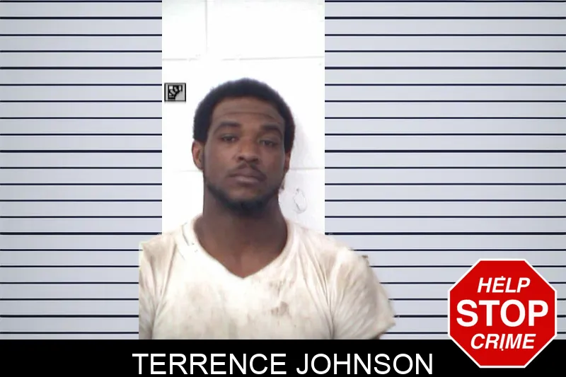 Terrence Johnson mugshot