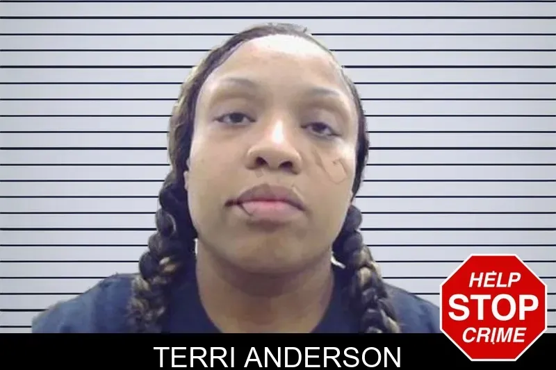 Terri Anderson mugshot