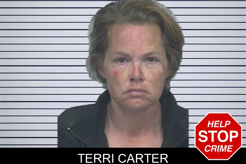 Terri Carter mugshot