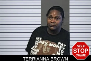 Terrianna Brown mugshot