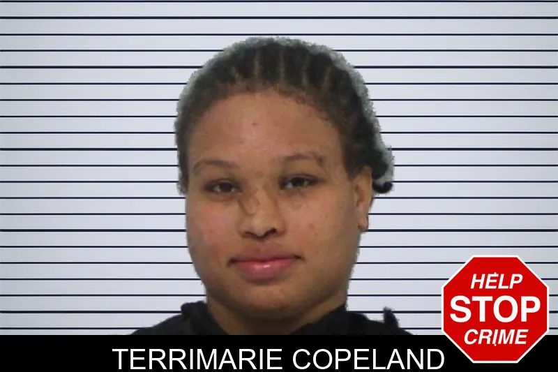 Terrimarie Copeland mugshot