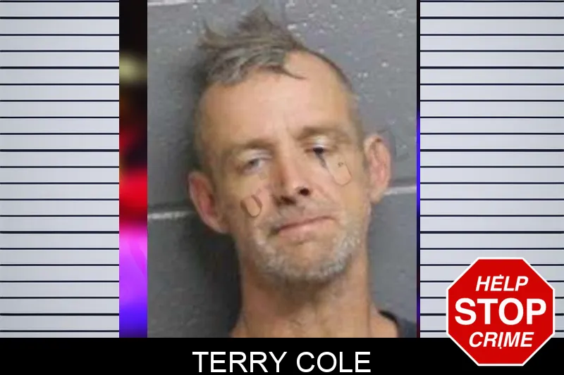 Terry Cole mugshot – Bacon County , Georgia Terry Cole mugshot