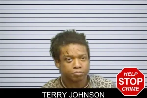 Terry Johnson mugshot