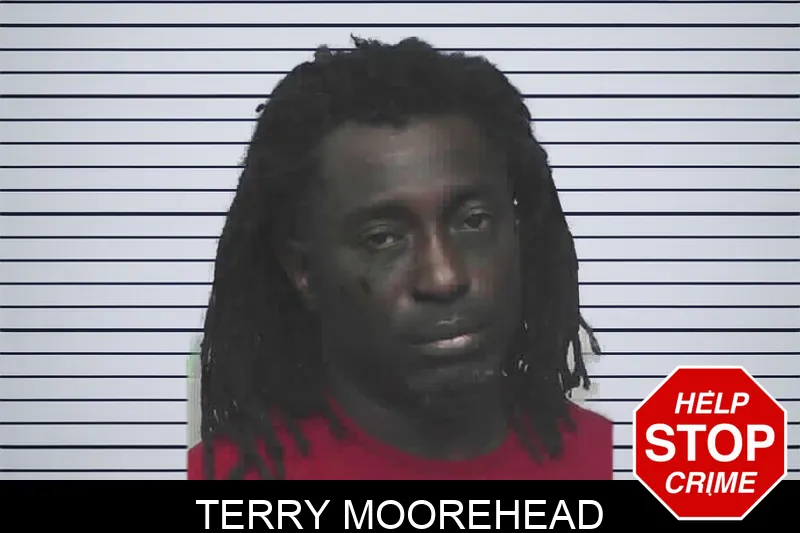 Terry Moorehead mugshot – Lanier County , Georgia Terry Moorehead mugshot