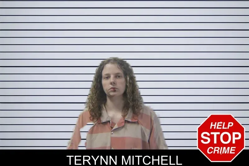 Terynn Mitchell mugshot