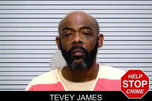 Tevey James mugshot