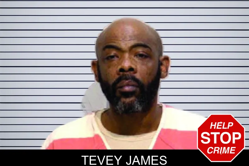 Tevey James mugshot – Bartow County , Georgia Tevey James mugshot