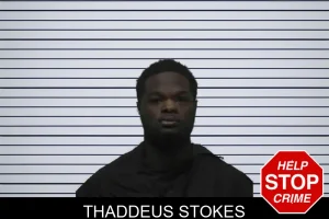 Thaddeus Stokes mugshot