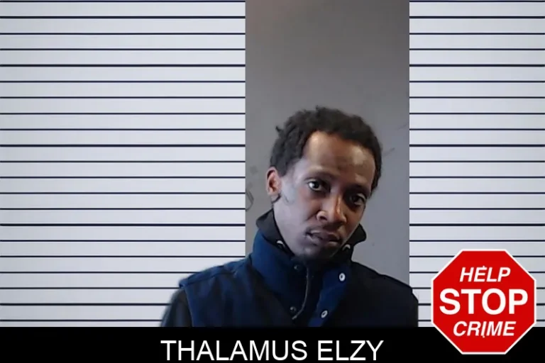 Thalamus Elzy