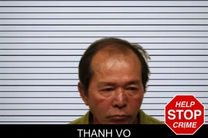 Thanh Vo mugshot