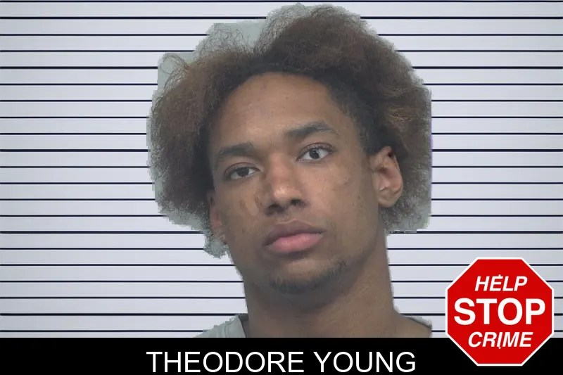 Theodore Young mugshot – Gwinnett County , Georgia Theodore Young mugshot