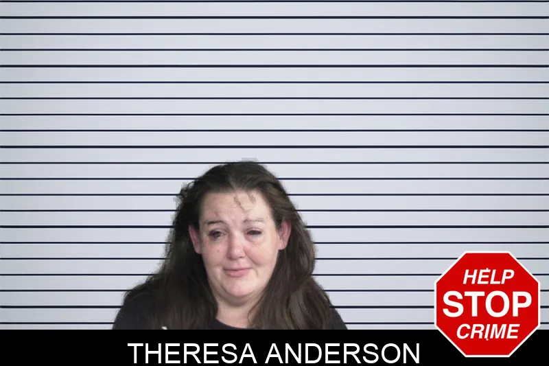 Theresa Anderson mugshot – Twiggs County , Georgia Theresa Anderson mugshot