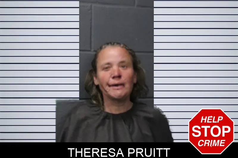 Theresa Pruitt mugshot