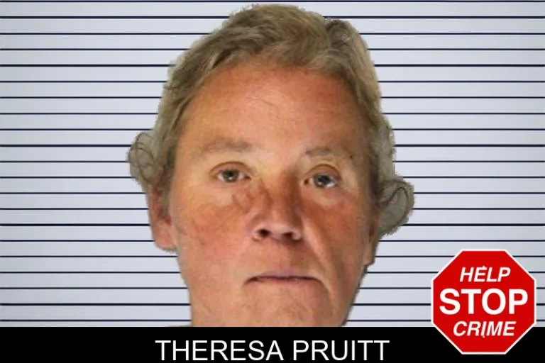 Theresa Pruitt mugshot โ Hall County , Georgia Theresa Pruitt