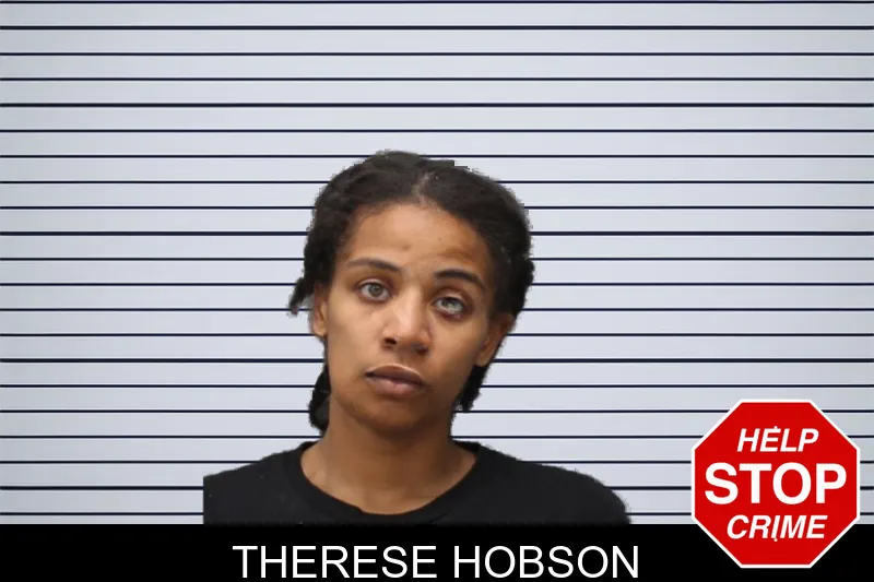 Therese Hobson mugshot