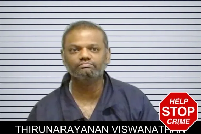 Thirunarayanan Viswanathan