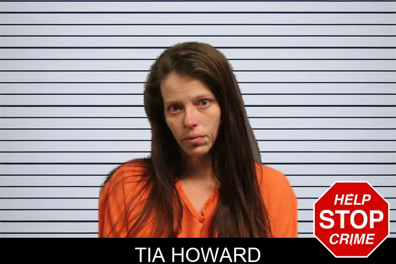 Tia Howard mugshot