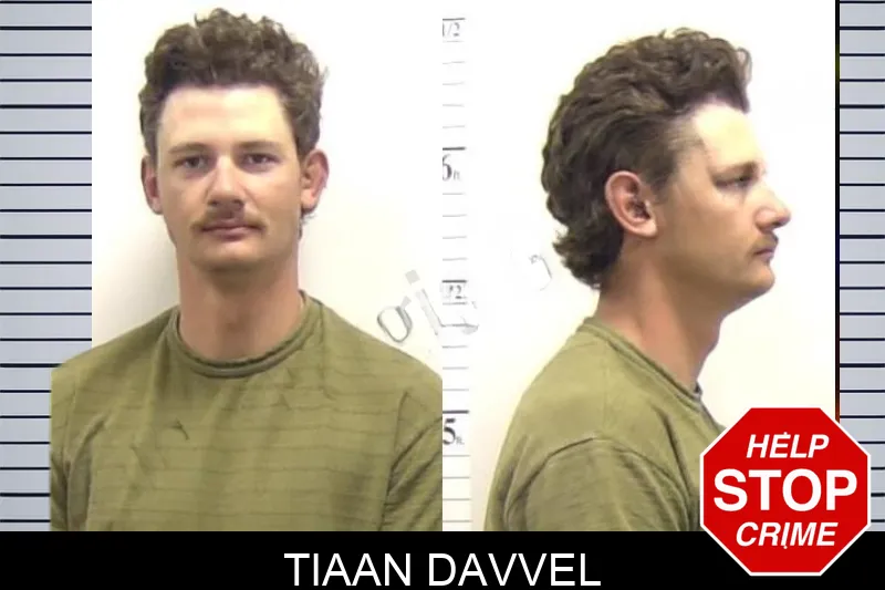 Tiaan Davvel mugshot