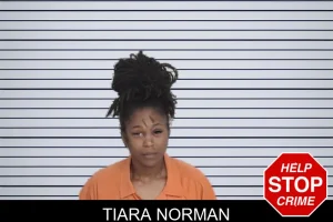 Tiara Norman mugshot