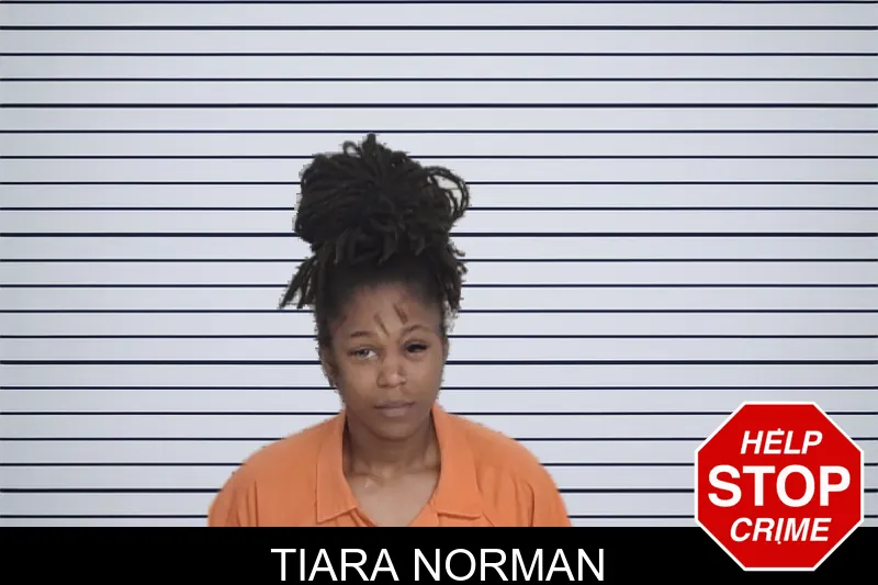 Tiara Norman mugshot