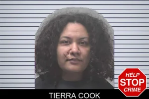 Tierra Cook mugshot