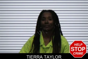 Tierra Taylor mugshot