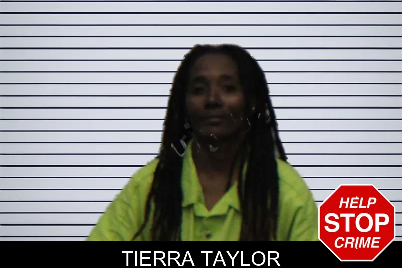 Tierra Taylor mugshot