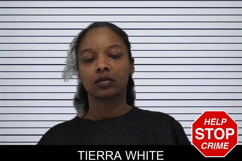 Tierra White mugshot