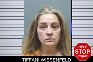 Tiffani Wiesenfeld mugshot