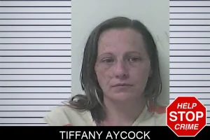 Tiffany Aycock mugshot