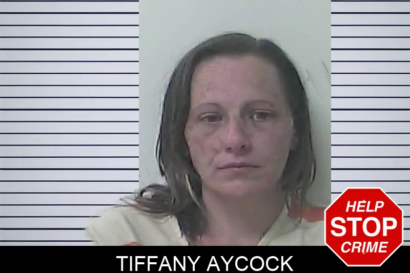 Tiffany Aycock mugshot
