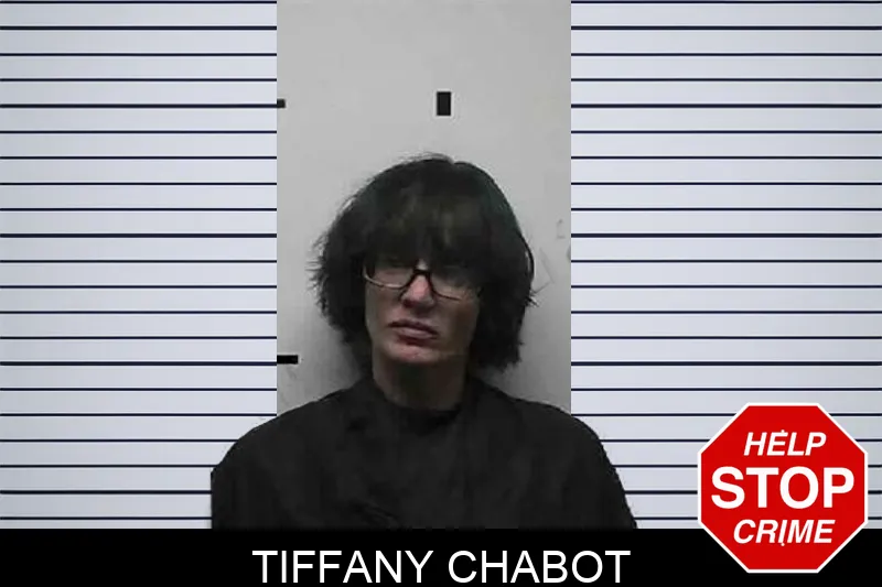 Tiffany Chabot mugshot – Pike County , Georgia Tiffany Chabot mugshot