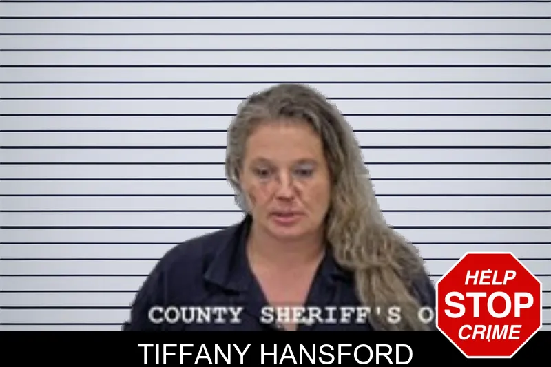 Tiffany Hansford mugshot – Walton County , Georgia Tiffany Hansford mugshot