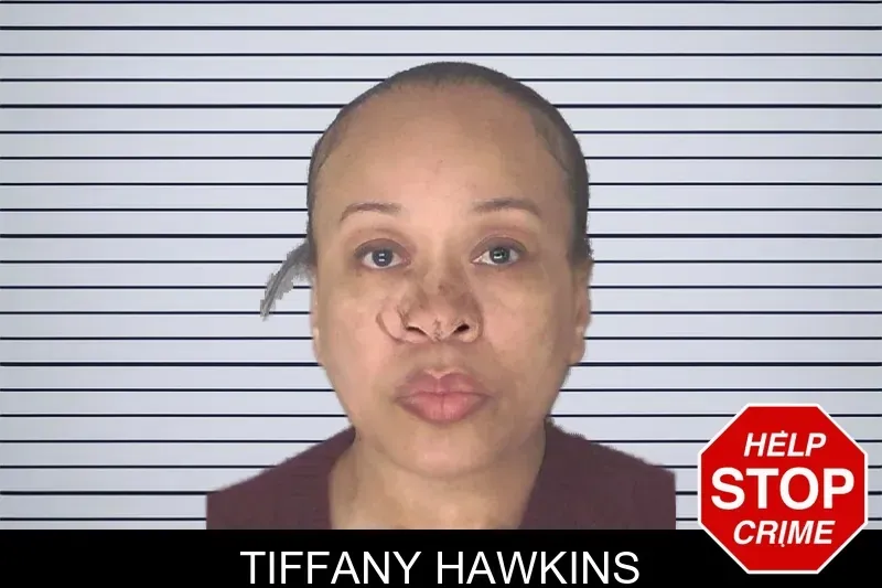 Tiffany Hawkins mugshot