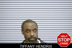 Tiffany Hendrix mugshot