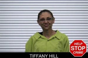 Tiffany Hill mugshot