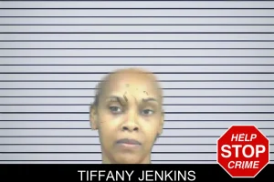 Tiffany Jenkins mugshot
