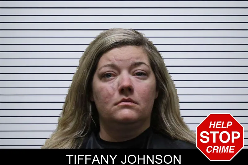 Tiffany Johnson mugshot – Haralson County , Georgia Tiffany Johnson mugshot
