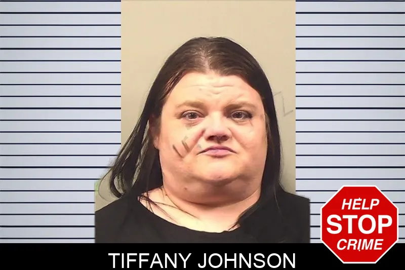 Tiffany Johnson mugshot
