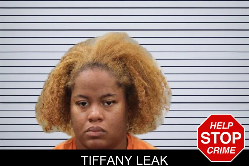 Tiffany Leak mugshot – Heard County , Georgia Tiffany Leak mugshot