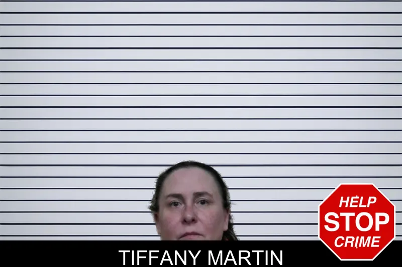 Tiffany Martin mugshot – Ben Hill County , Georgia Tiffany Martin mugshot