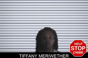 Tiffany Meriwether mugshot