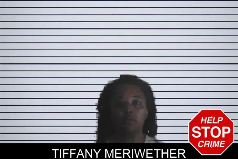 Tiffany Meriwether mugshot – Meriwether County , Georgia Tiffany Meriwether