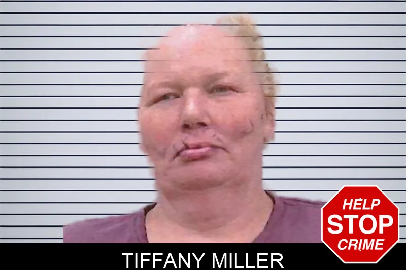 Tiffany Miller mugshot – Screven County , Georgia Tiffany Miller mugshot