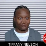 Tiffany Nelson mugshot