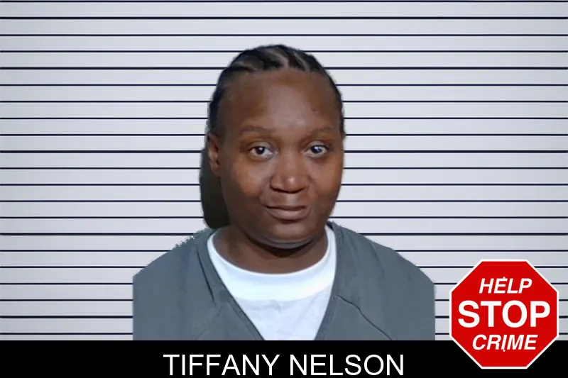 Tiffany Nelson mugshot – Glynn County , Georgia Tiffany Nelson mugshot