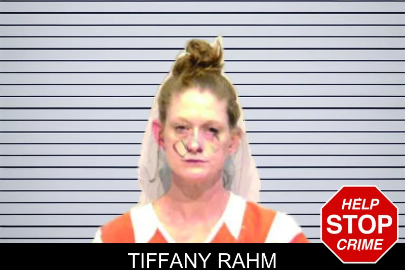 Tiffany Rahm mugshot – Bartow County , Georgia Tiffany Rahm mugshot