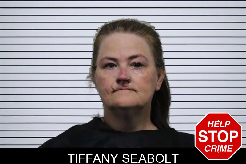 Tiffany Seabolt mugshot